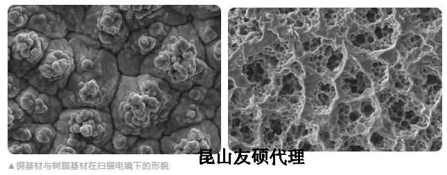 南阳蔡司南阳扫描电镜